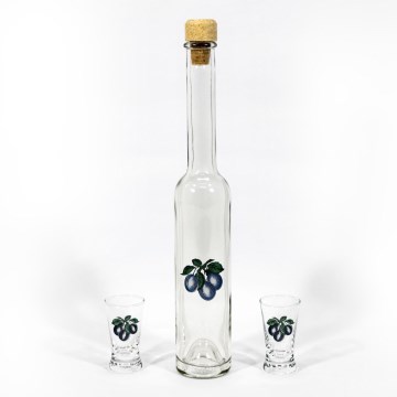 Juego 1x botella de cristal y 2x vasos para chupitos transparentes