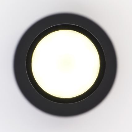 Jupiter 2003 - Lámpara colgante ALAS 1xGU10/10W/230V negro/dorado