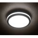 Luminaria LED de exterior BENO LED/18W/230V 4000K antracita IP54