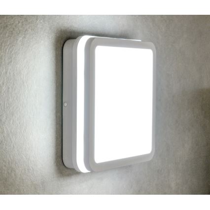 Luminaria exterior LED BENO LED/18W/230V 4000K blanco IP54