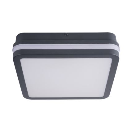 Lámpara de exterior LED con sensor BENO LED/18W/230V 4000K IP54 antracita