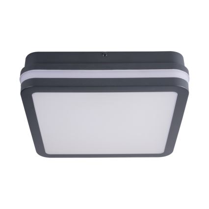 Luminaria LED de exterior BENO LED/24W/230V 4000K antracita IP54