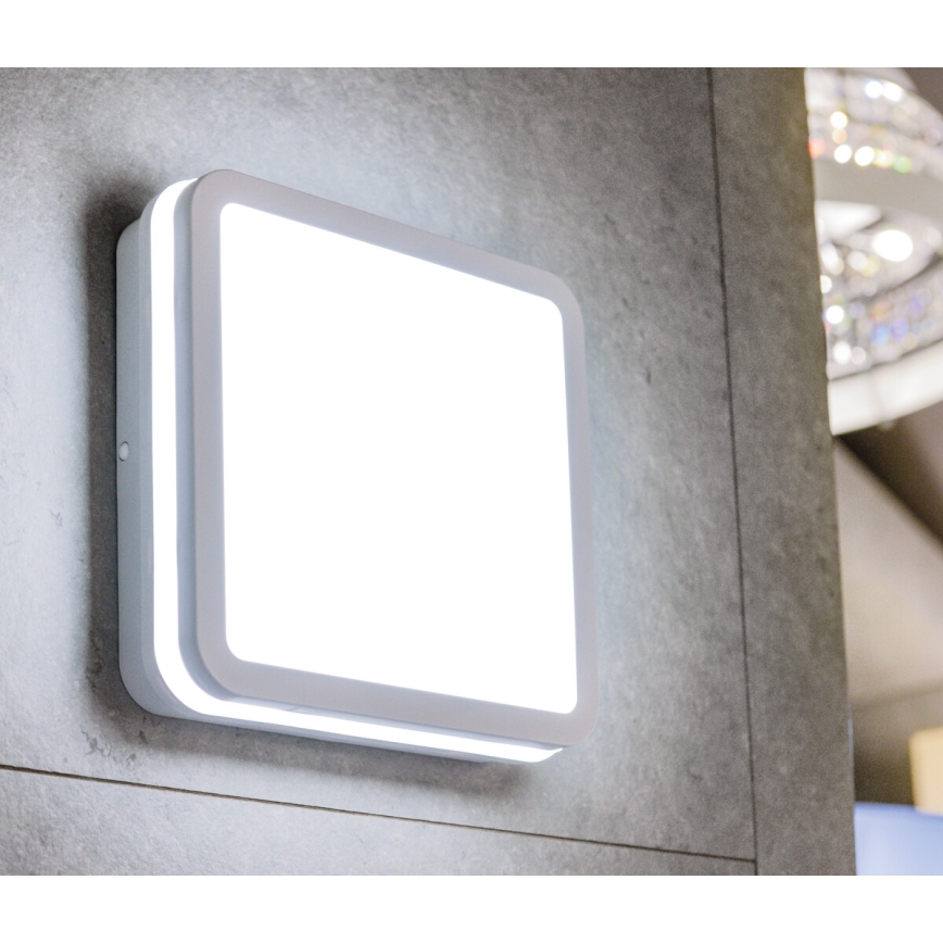Plafón LED de exterior con sensor BENO LED/24W/230V 4000K blanco IP54