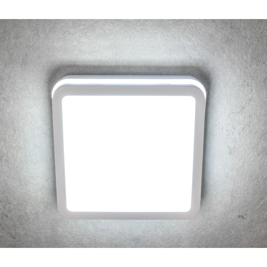 Plafón LED de exterior con sensor BENO LED/24W/230V 4000K blanco IP54