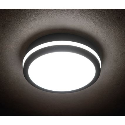 LED Plafón exterior BENO LED/18W/230V 4000K antracita IP54