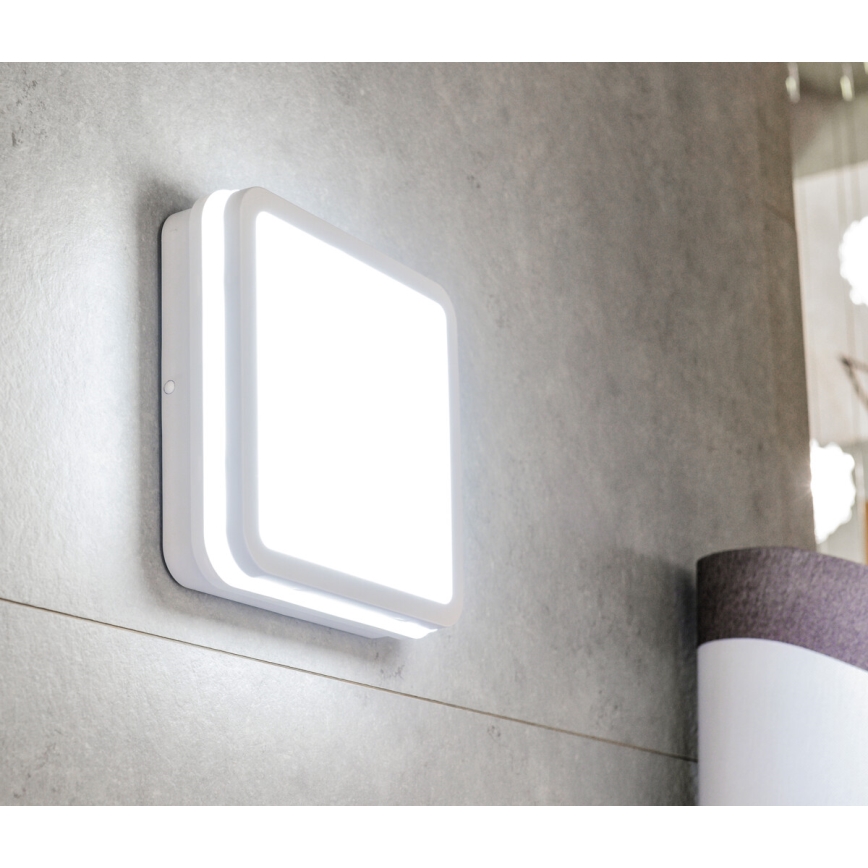 Luminaria de superficie LED BENO LED/18W/230V 3000K blanco IP54