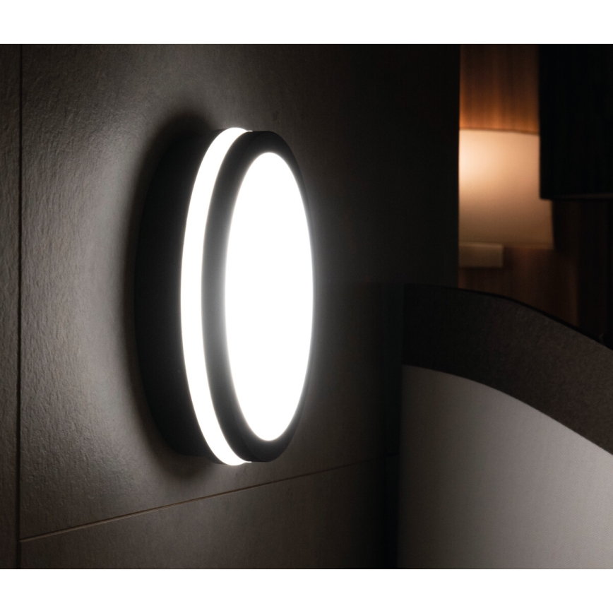 Luminaria LED de superficie BENO LED/24W/230V 3000K antracita IP54