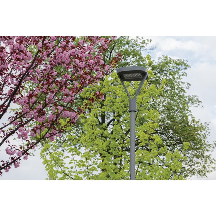 Farola LED PARCOLI LED/30/40/50W/230V 3000/4000/6500K IP66 gris