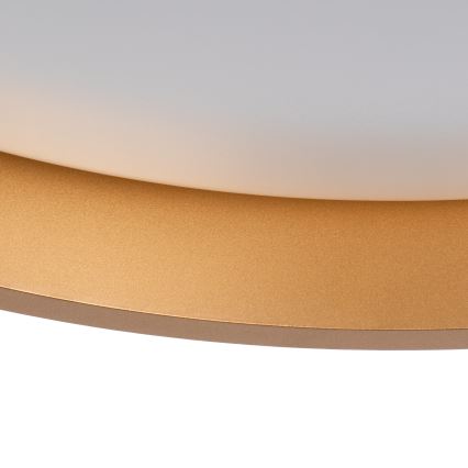 Plafón LED SOLN LED/17,5W/230V diá. 38 cm blanco/dorado