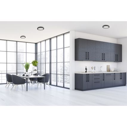 Plafón LED de exterior BENO ECO LED/20W/230V 3000/4000/6500K diá. 20 cm IP65 negro