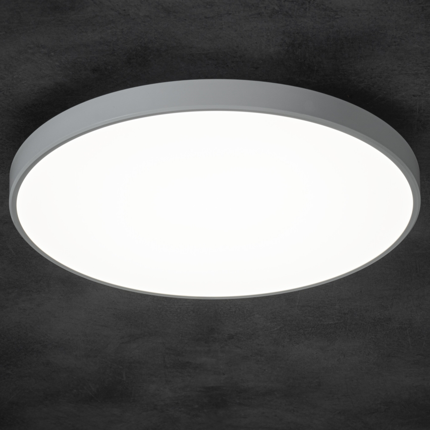Plafón LED regulable PLAFON LED/20W/230V 3000-6500K Wi-Fi blanco