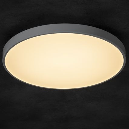 Plafón LED regulable PLAFON LED/20W/230V 3000-6500K Wi-Fi blanco