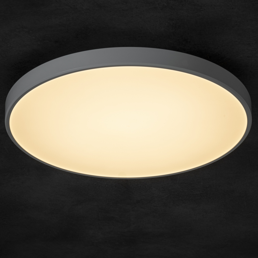 Plafón LED regulable PLAFON LED/20W/230V 3000-6500K Wi-Fi blanco