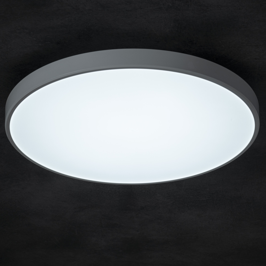 Plafón LED regulable PLAFON LED/20W/230V 3000-6500K Wi-Fi blanco