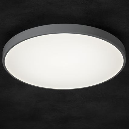 Plafón LED regulable PLAFON LED/20W/230V 3000-6500K Wi-Fi blanco