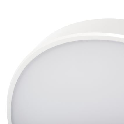 Plafón LED regulable PLAFON LED/20W/230V 3000-6500K Wi-Fi blanco
