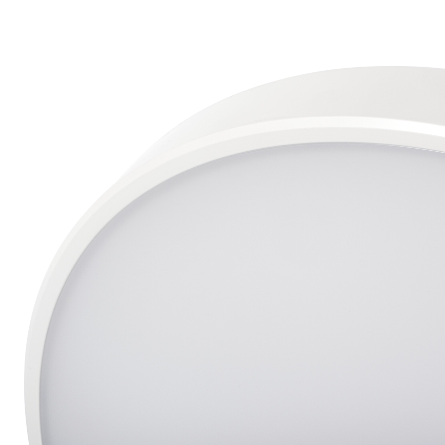 Plafón LED regulable PLAFON LED/20W/230V 3000-6500K Wi-Fi blanco