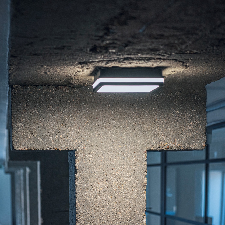 Plafón LED de exterior con sensor de movimiento BENO LED/24/30W/230V 3000/3500/4000K IP65 antracita cuadrado