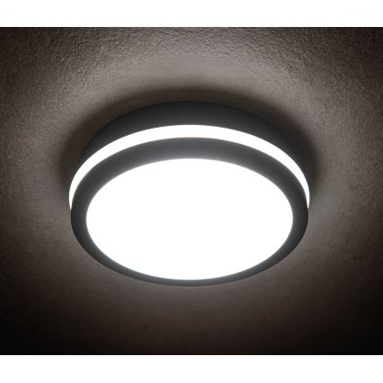 Plafón LED de exterior BENO LED/24/30W/230V 3000/3500/4000K IP65 antracita redondeado