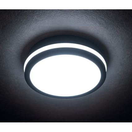 Plafón LED de exterior BENO LED/24/30W/230V 3000/3500/4000K IP65 antracita redondeado