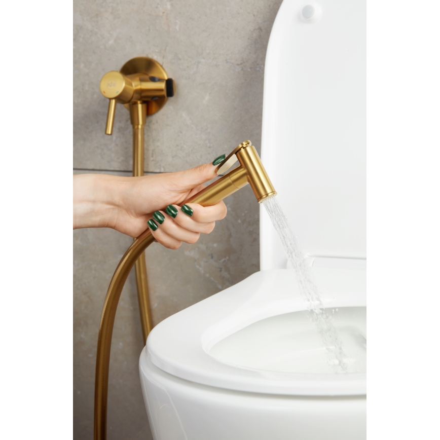 KFA Armatura 5039-512-31 - Grifo empotrado para bidé con ducha MOZA oro cepillado