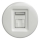 Kliklap - Enchufe de datos vintage blanco