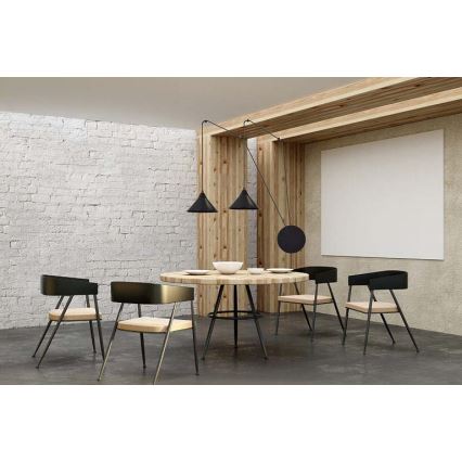 Lámpara colgante ABRAMO 2xE27/15W/230V negro