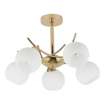 Lámpara colgante AMOS 5xE27/40W/230V dorado