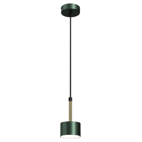 Lámpara colgante ARENA 1xGX53/11W/230V verde/dorado