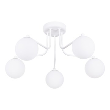 Lámpara colgante ASTRAL 5xG9/8W/230V blanco