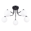 Lámpara colgante ASTRAL 5xG9/8W/230V negro