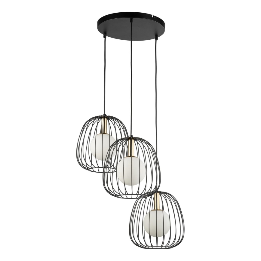 Lámpara colgante BELL 3xG9/12W/230V negro/dorado