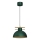 Lámpara colgante ESTATE 1xE27/15W/230V verde