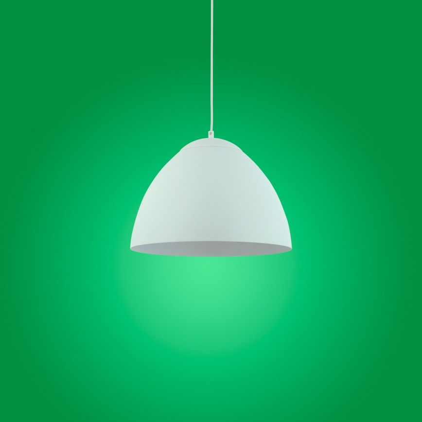 Lámpara colgante FARO 1xE27/60W/230V blanco