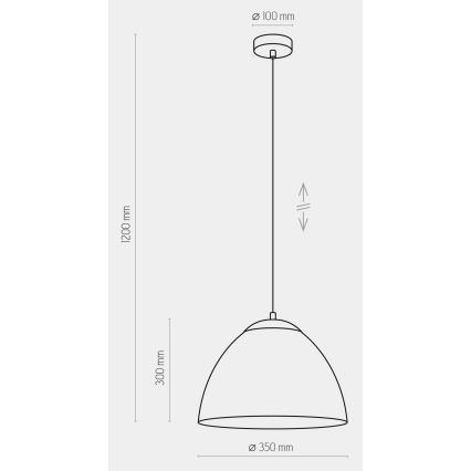 Lámpara colgante FARO 1xE27/60W/230V negro