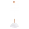 Lámpara colgante FOTYN 1xE27/15W/230V marrón