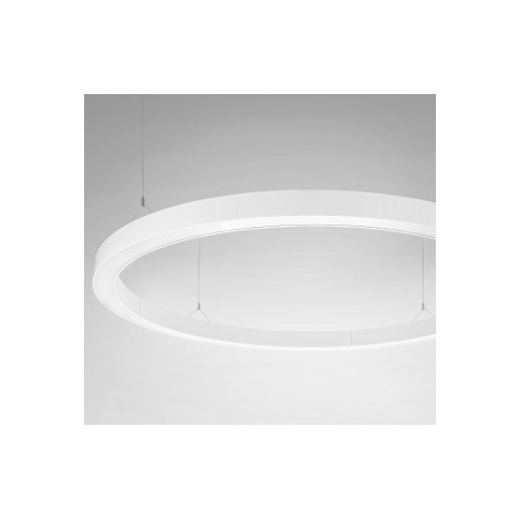 Lámpara colgante LED CIRCOLARE RING LED/58W/230V