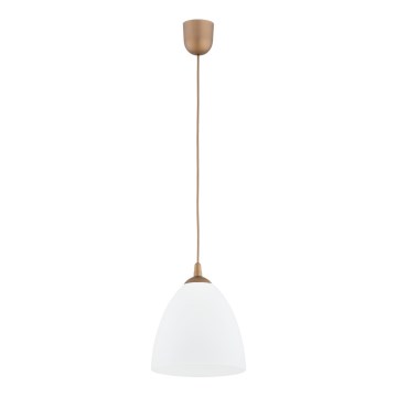 Lámpara colgante LERA 1xE27/15W/230V dorado