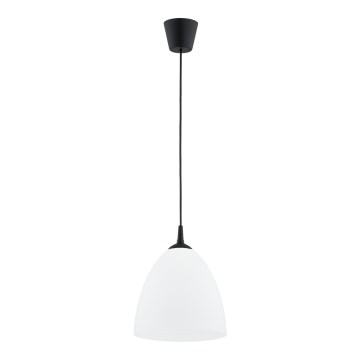 Lámpara colgante LERA 1xE27/15W/230V negro