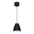 Lámpara colgante LERDO 1xE27/60W/230V negro/dorado