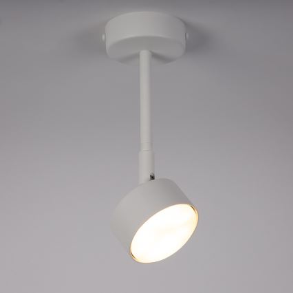 Lámpara colgante NEMO 1xGX53/12W/230V 24 cm blanco