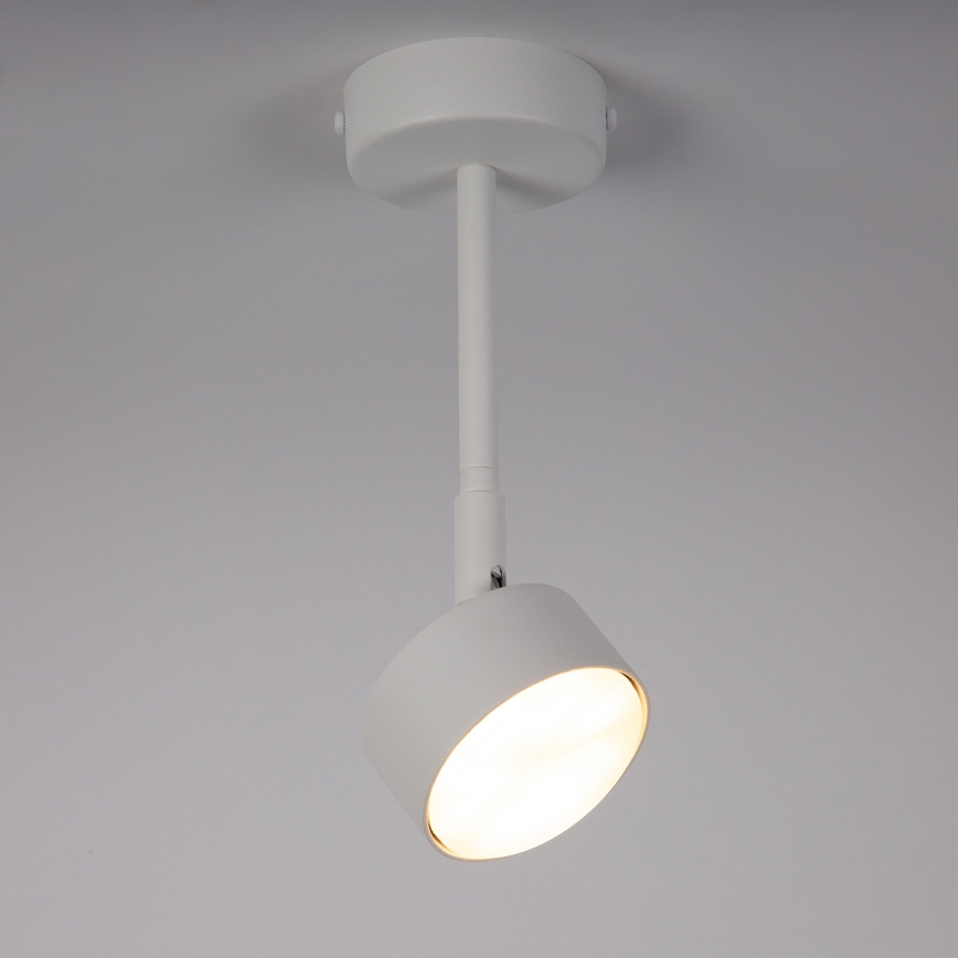 Lámpara colgante NEMO 1xGX53/12W/230V 24 cm blanco