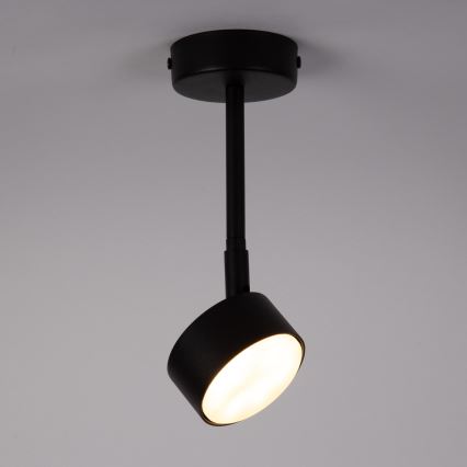 Lámpara colgante NEMO 1xGX53/12W/230V 24 cm negro