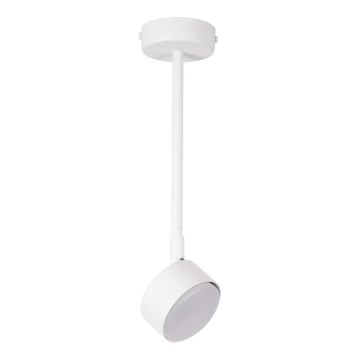 Lámpara colgante NEMO 1xGX53/12W/230V 35 cm blanco