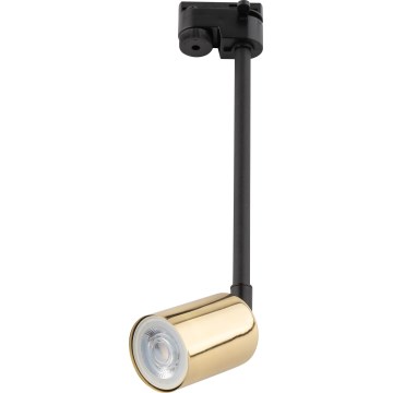 Lámpara colgante para sistema de raíles monofásico TOP 1xGU10/10W/230V dorado/negro