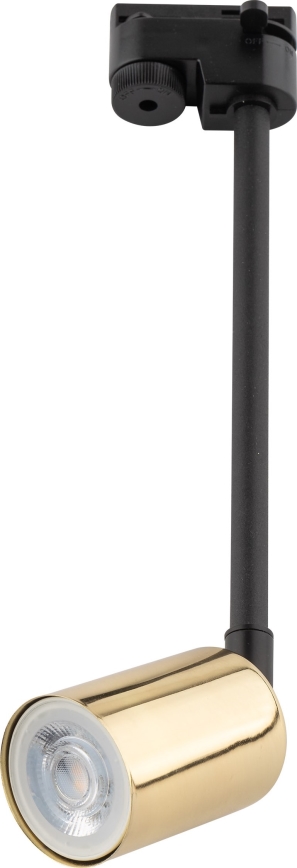 Lámpara colgante para sistema de raíles monofásico TOP 1xGU10/10W/230V dorado/negro