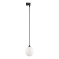 Lámpara colgante para sistema de raíles monofásico TRACER 1xG9/8W/230V negro/blanco