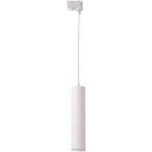 Lámpara colgante para sistema de rieles PARÍS 1xGU10/10W/230V blanco