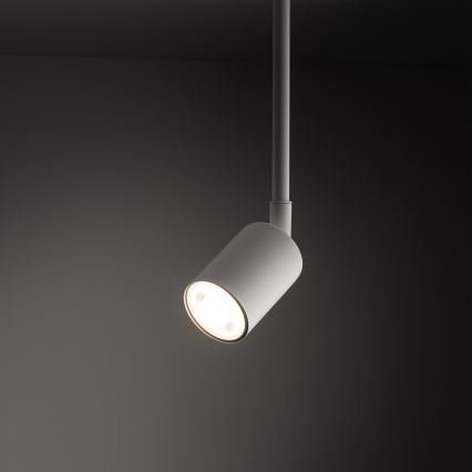Lámpara colgante para sistema de raíles monofásico TOP 1xGU10/10W/230V blanco