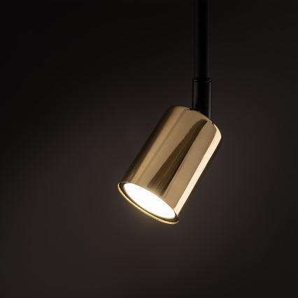 Lámpara colgante para sistema de raíles monofásico TOP 1xGU10/10W/230V dorado/negro